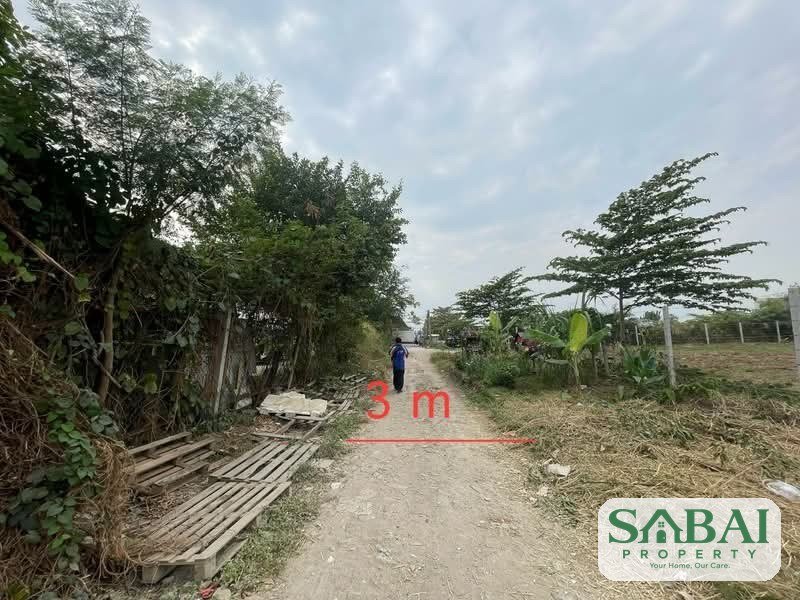 ขายด่วน ที่ดินกรุงเทพ กรีฑา ซ.37 ขนาด 126 ตร.ว. 6