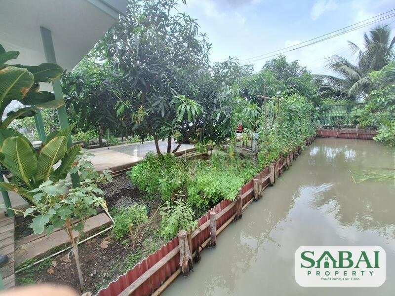 ขายบ้าน พร้อม สวนซอยศรีนครินทร์45 เป็นบ้านสวนในกรุงเทพฯ มีผักและผลไม้ 11