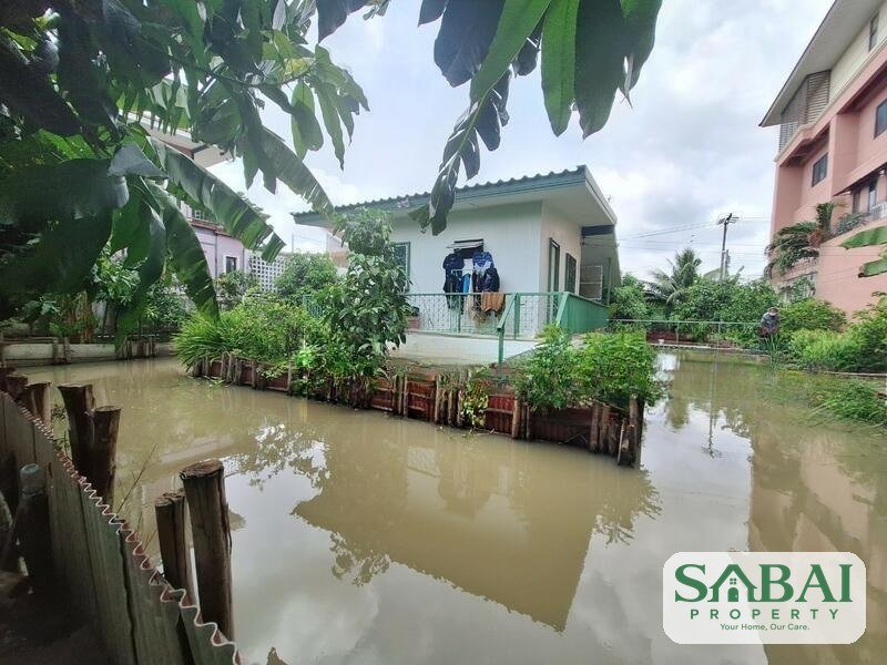 ขายบ้าน พร้อม สวนซอยศรีนครินทร์45 เป็นบ้านสวนในกรุงเทพฯ มีผักและผลไม้ 13