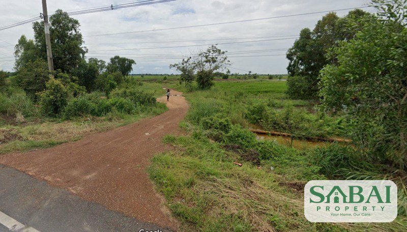 ถูกที่สุด ขายที่ดินเปล่าด่วน ต.หนองยาว(ทางหลวงหมายเลข3076)ติดถนนใหญ่ 3