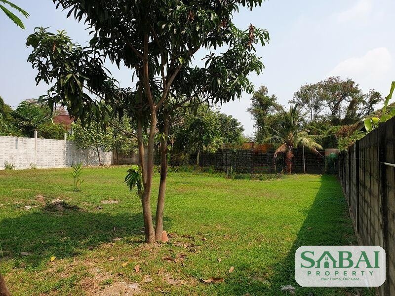 ที่ดินแปลงสวย เหมาะสร้างบ้าน หมู่บ้านปัญญา พัฒนาการ30  ขนาด165 2